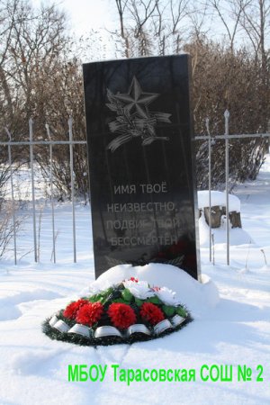 3 декабря 2014 года. У могилы Неизвестного солдата. 9Б класс