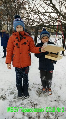 Зимняя экскурсия в школьный сад