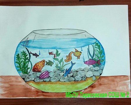 Проект "Мой аквариум"