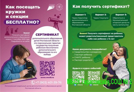 Развитие региональной системы дополнительного образования в Ростовской области